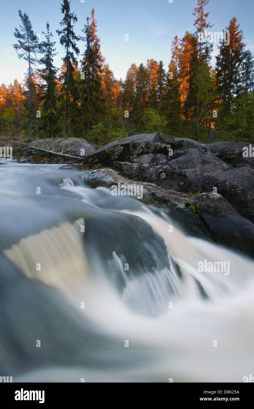 Streaming Wasser in den Fluss Svinna, våler Kommune, Østfold, Norwegen. Der Fluss ist ein Teil des Wassers, das System namens Morsavassdraget. Stockfoto