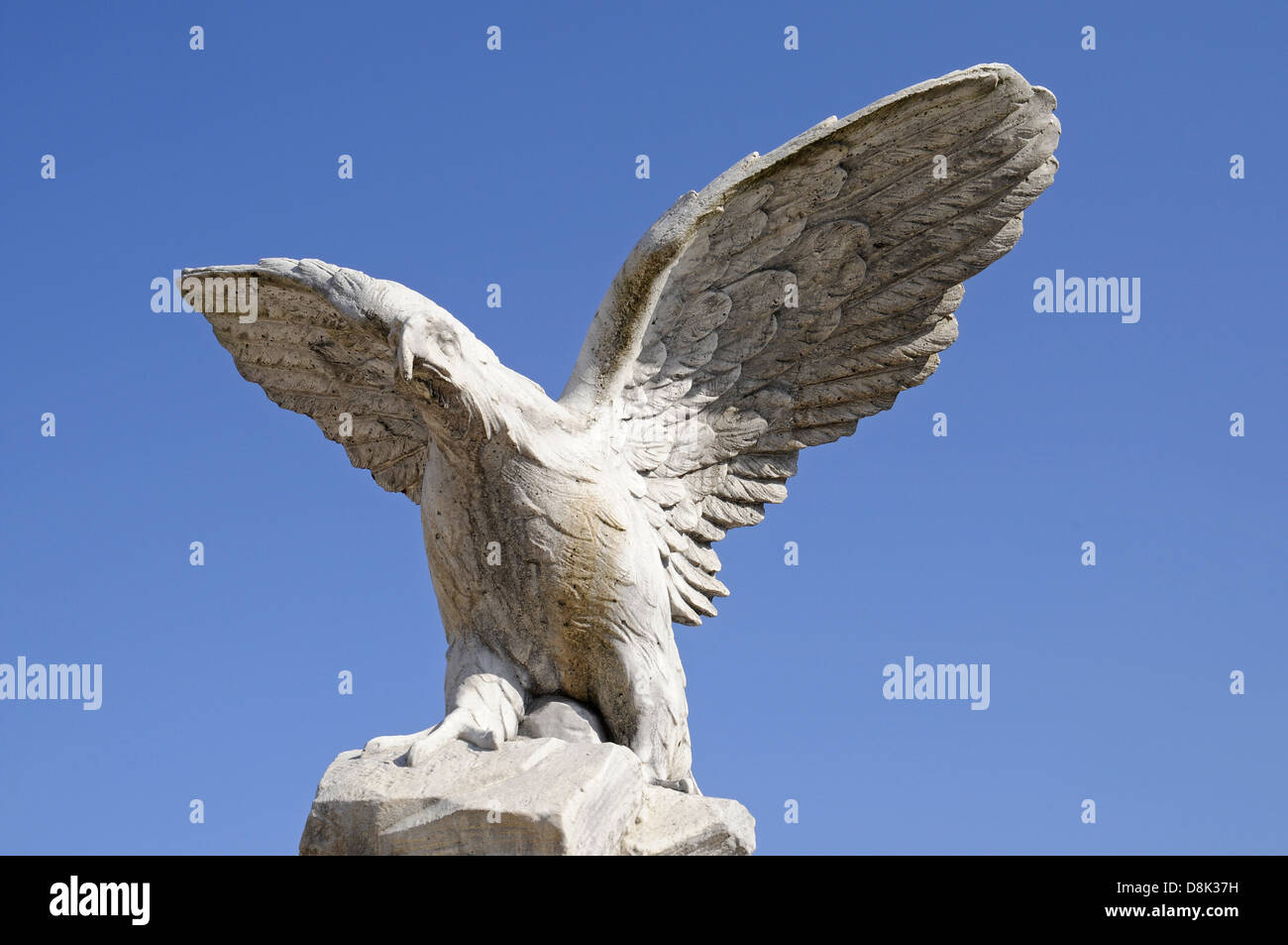 Adler Stockfoto