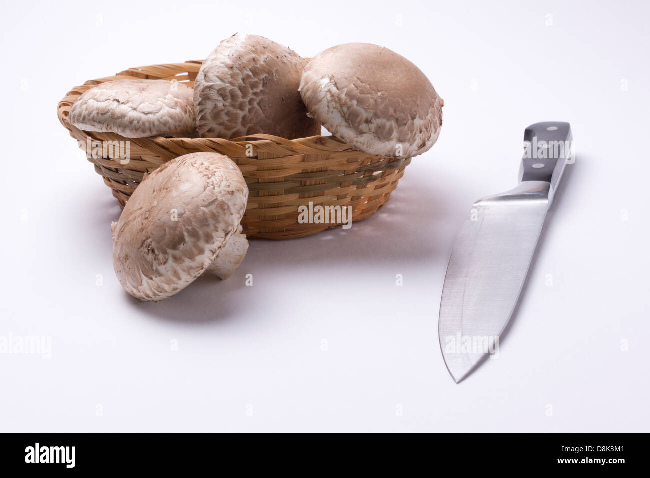 Porteeni Pilze in einem Korb mit einem Kochmesser auf einem weißen Hintergrund in einer Studioumgebung. Stockfoto