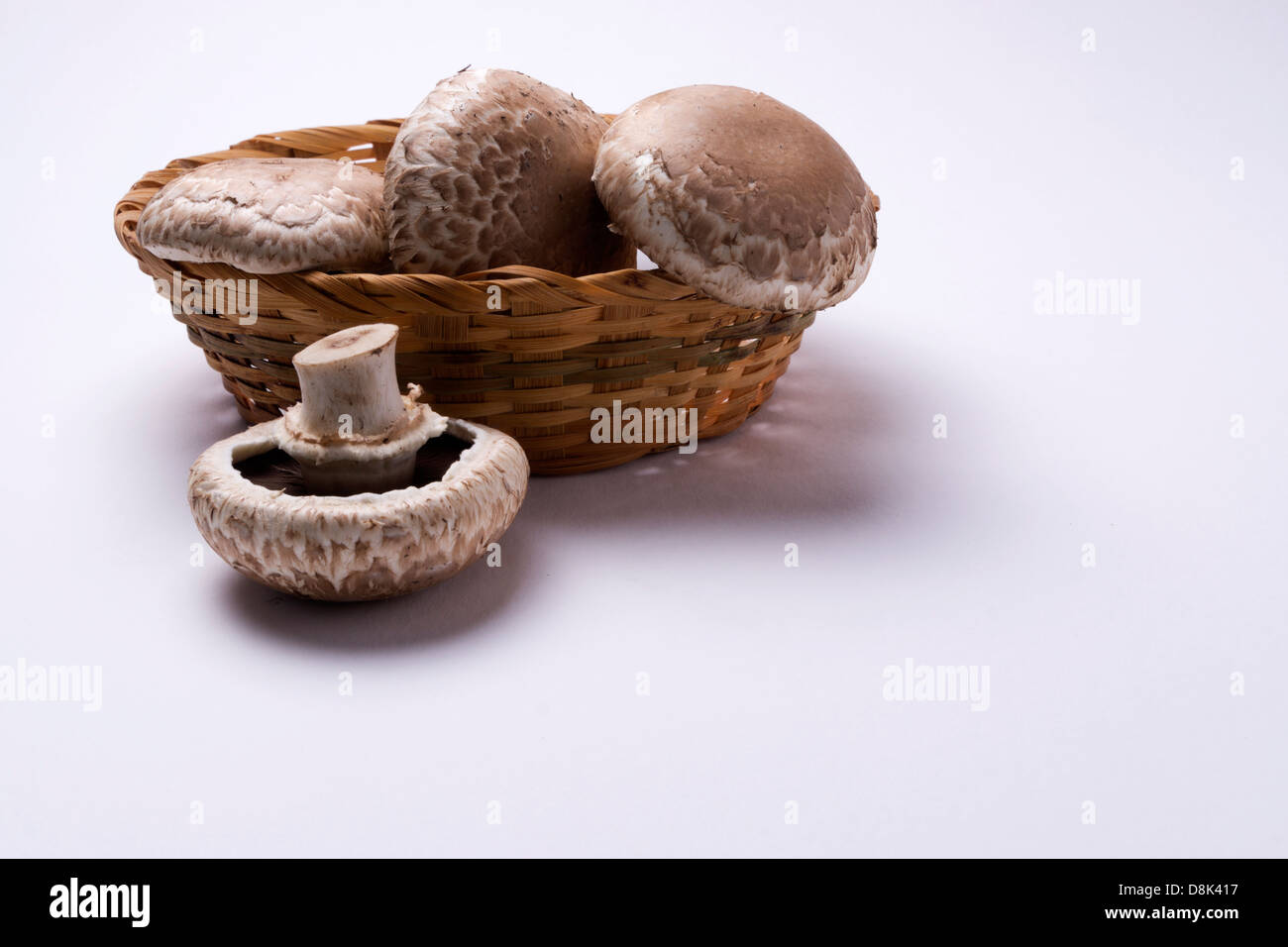 Speisepilzsammlern Pilze auf einem weißen Hintergrund in einem geflochtenen Korb in einem Fotostudio Stockfoto