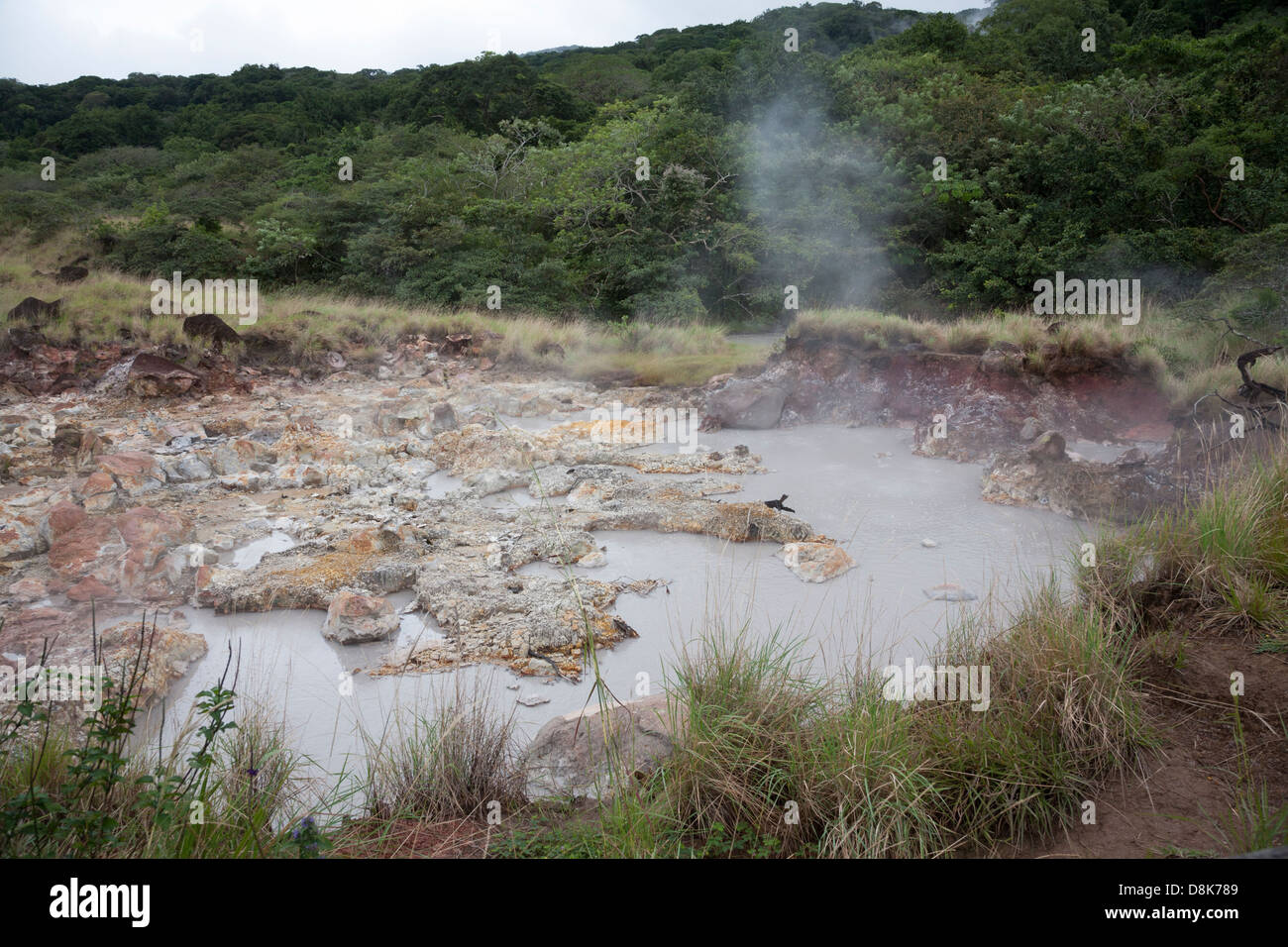 Fumarolen, kochendes Wasser und Dampf, Rincon De La Vieja Nationalpark, costarica Stockfoto