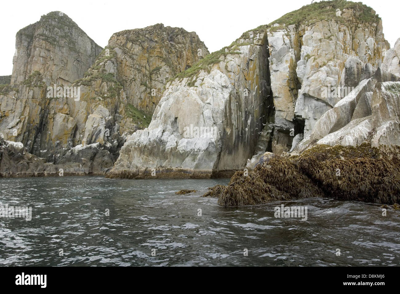 Burgfelsen Shumagin Islands. Stockfoto