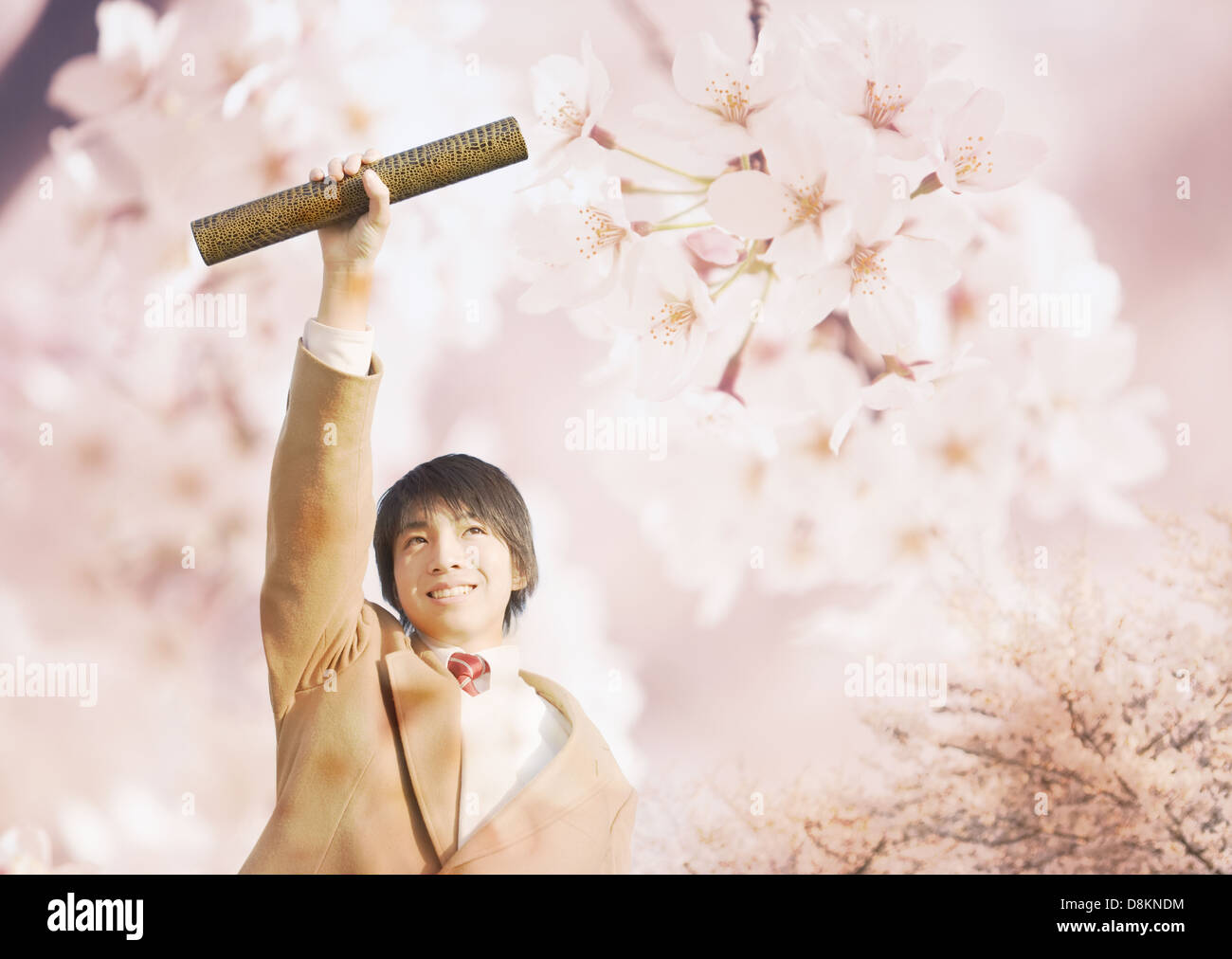 Junior High School Boy hält ein Diplom Rohr und Kirschblüten Stockfoto
