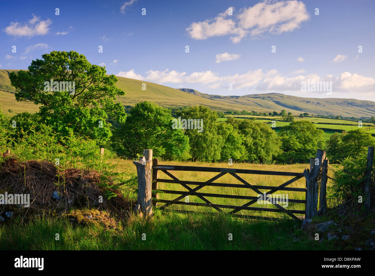 Ländliche Gegend Llanddeusant (Y Mynydd Du) Black Mountain Brecon Beacons National Park Carmarthenshire Wales Stockfoto