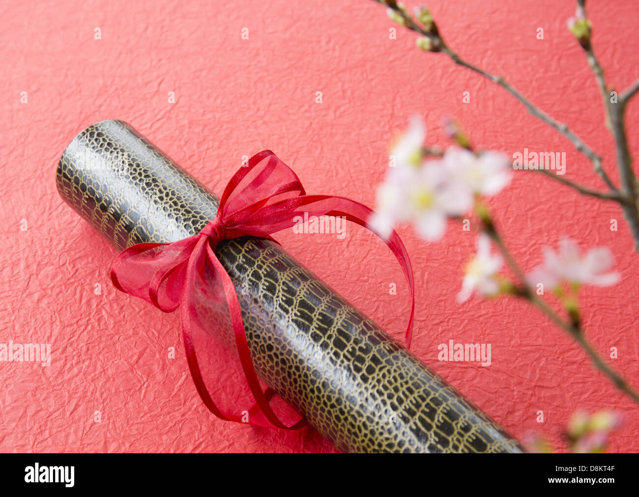 Diplom-Röhrchen mit roten Band und Kirschblüten Stockfoto