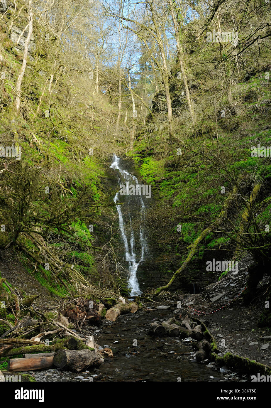 Wasser-Its-halsbrecherischen Wasserfall, Warren Woods, Radnor Wald, Wales Stockfoto