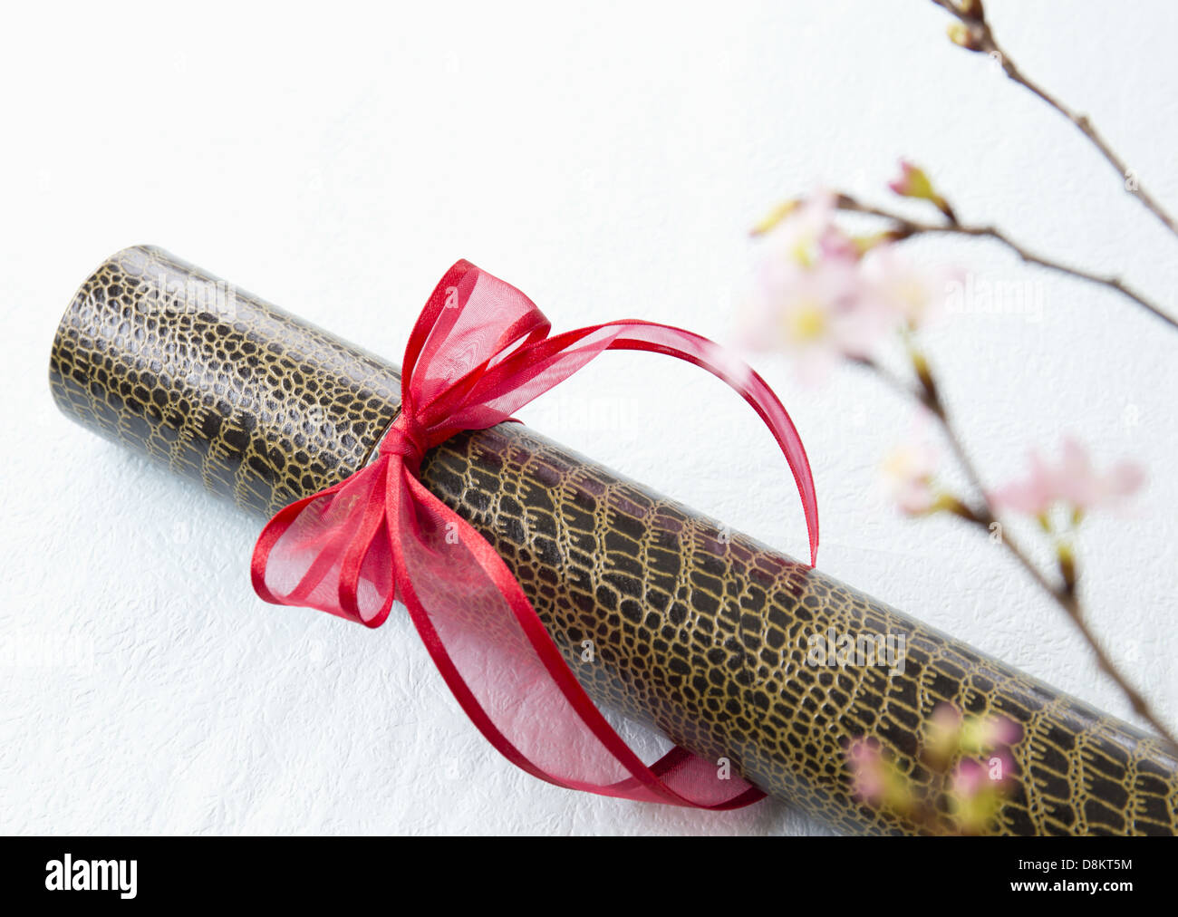 Diplom-Röhrchen mit roten Band und Kirschblüten Stockfoto