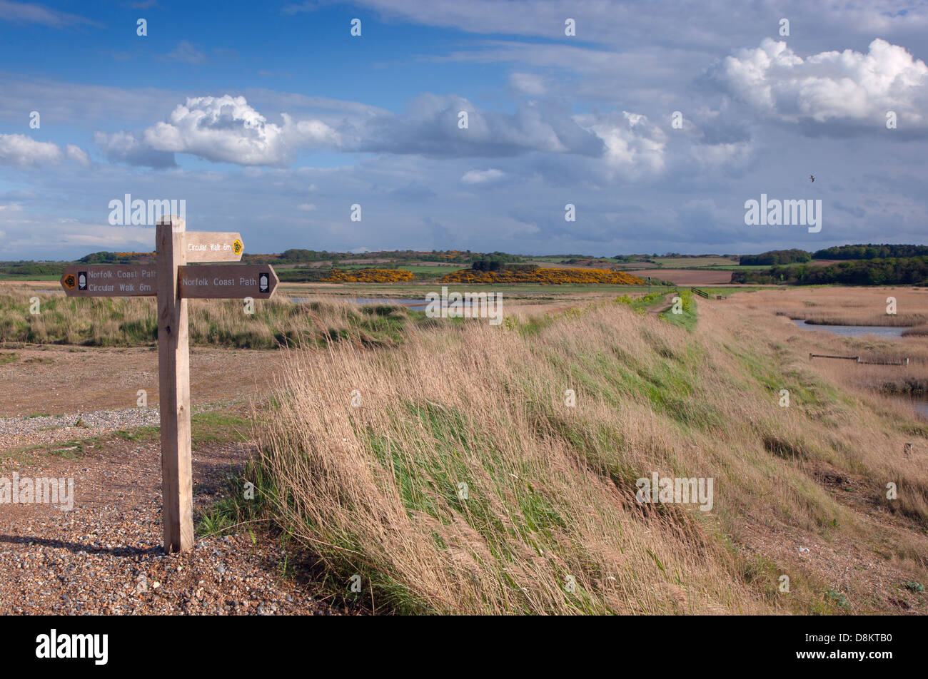 Cley Marshes Nature Reserve an der North Norfolk Küste Stockfoto