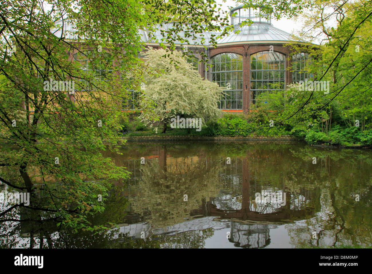 Niederlande, Amsterdam, Hortus Botanicus, Botanischer Garten, Stockfoto