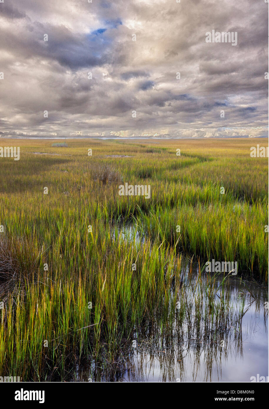 Ein Blick auf die küstennahen Niederungen und Einlass in die Innenstadt von Maria Island Georgia Stockfoto