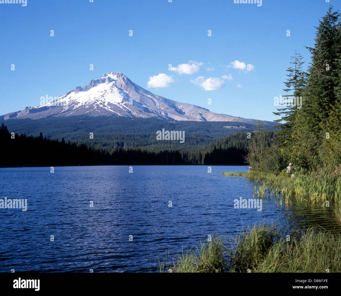 Haube mit Trillium See im Vordergrund, Clackamas / Hood River County, Oregon, USA Stockfoto