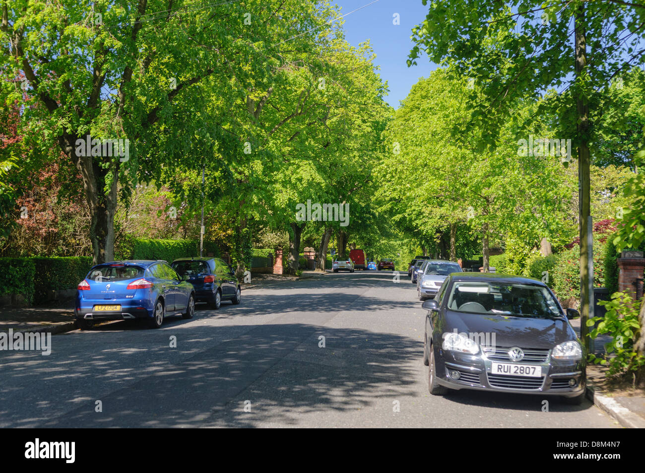 Eine Allee in einem Vorort Teil einer Stadt. Stockfoto