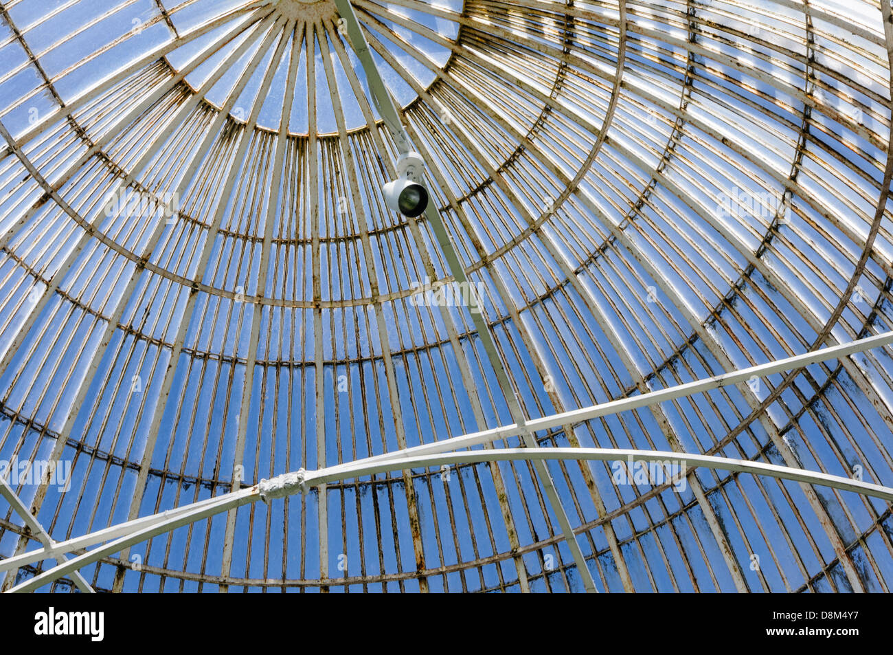 Dach des weltweit ältesten krummlinigen Eisen-Glasbau, das Palmenhaus im Botanischen Garten, Belfast Stockfoto