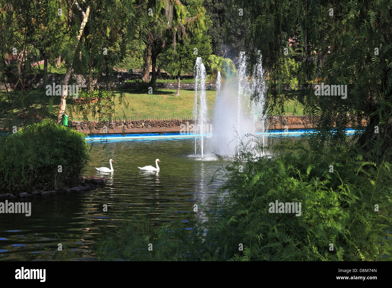 Der Park des Resorts Stockfoto