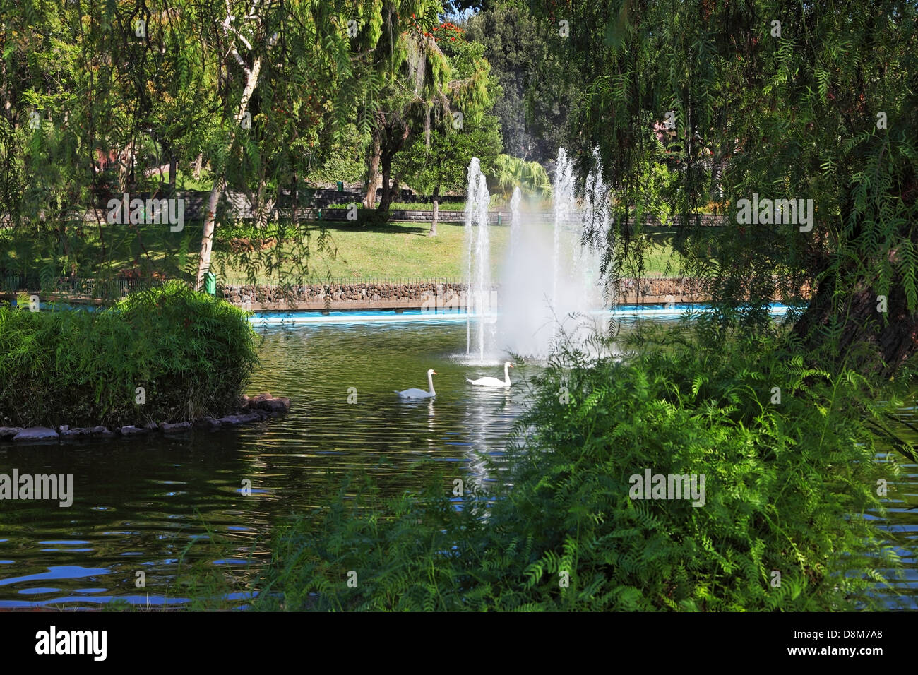 Herrlichen Park auf der Insel Stockfoto