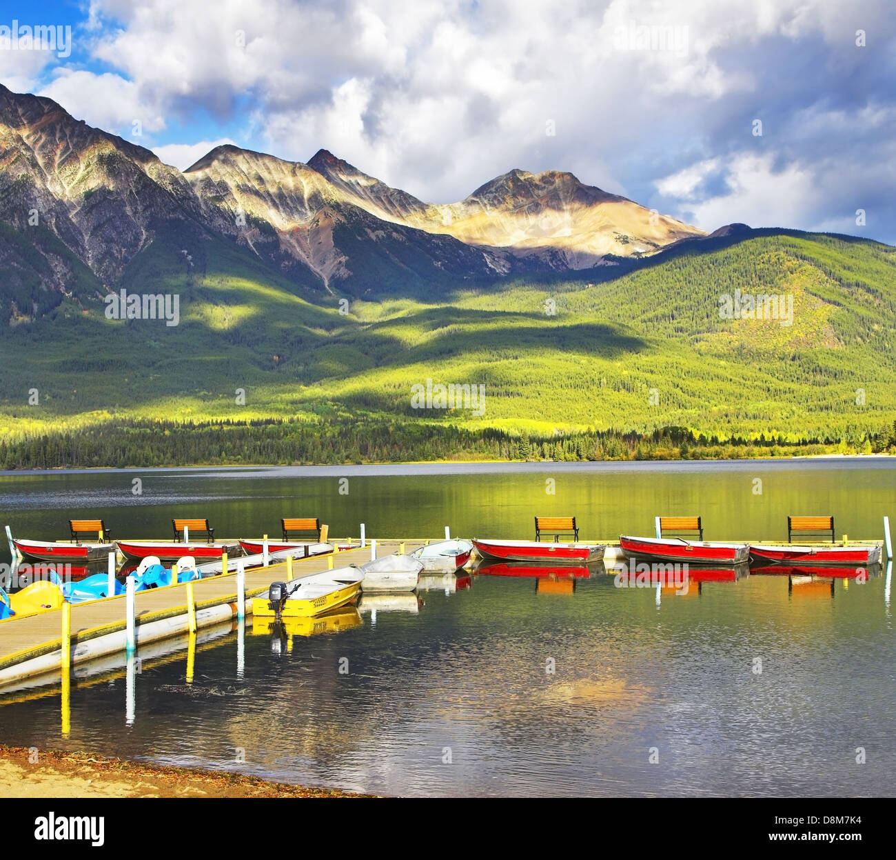 Black raven Stockfoto