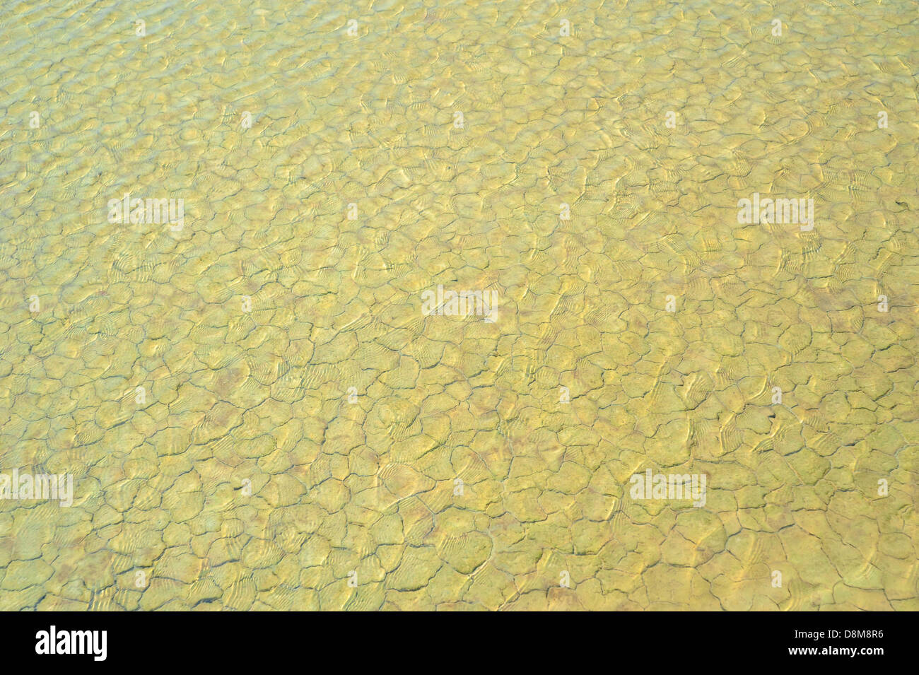 Risse unter Wasser Stockfoto