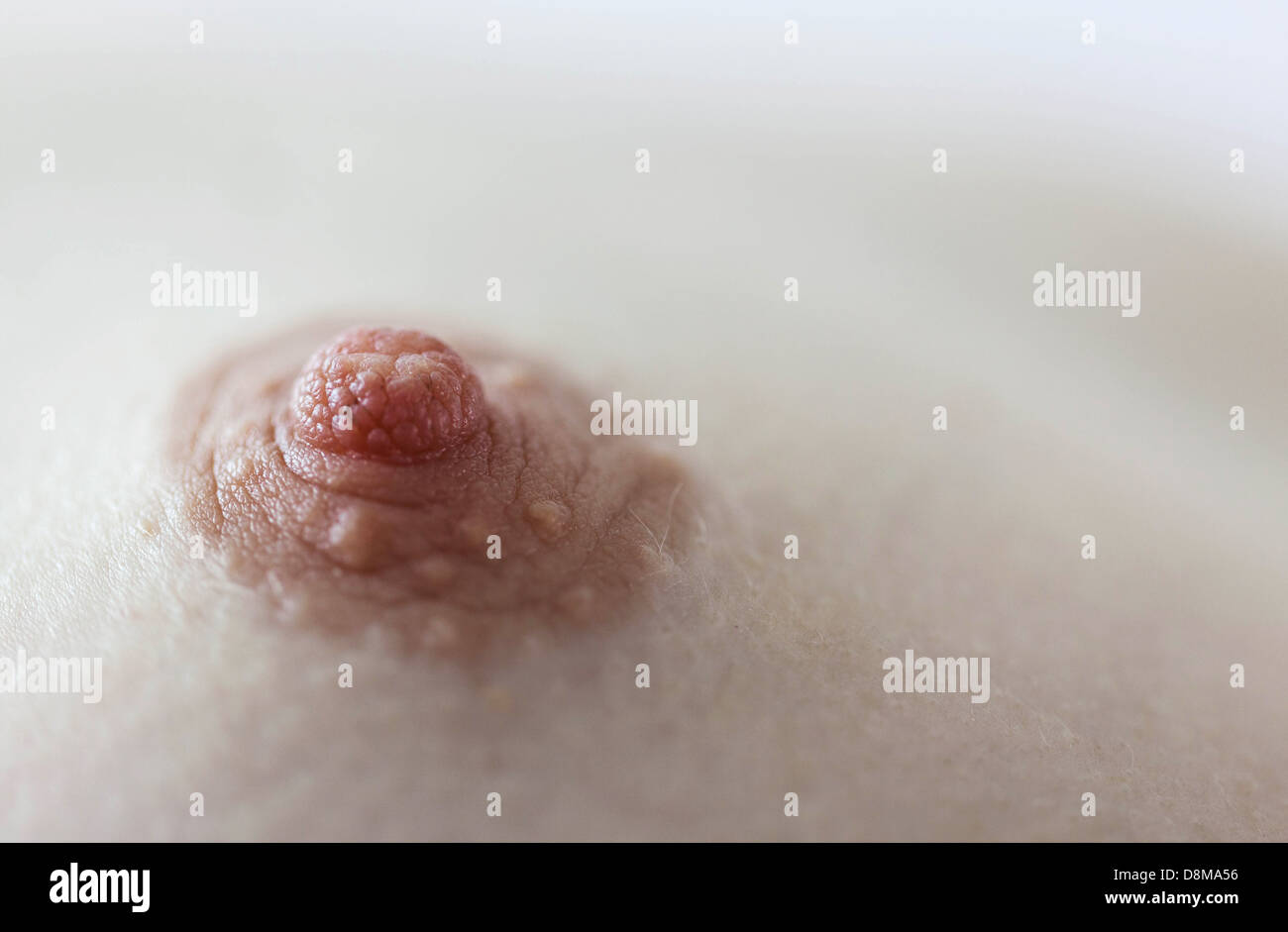 Menschlichen weiblichen Brustwarze Stockfoto, Bild 56995378 Alamy