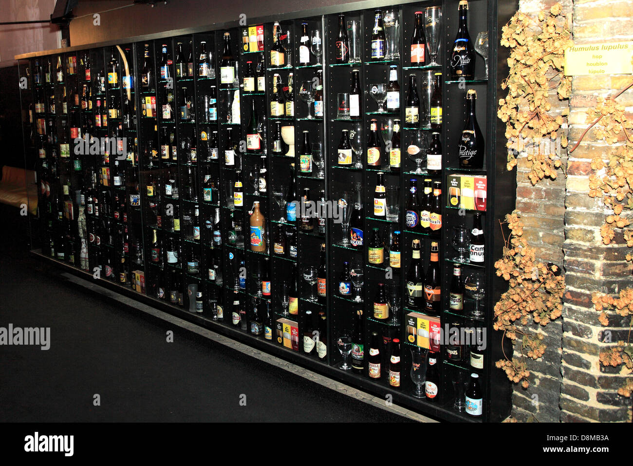 Belgien Bier Wand, Shop Display, Brügge City, West-Flandern in der belgischen Region Flandern. Stockfoto