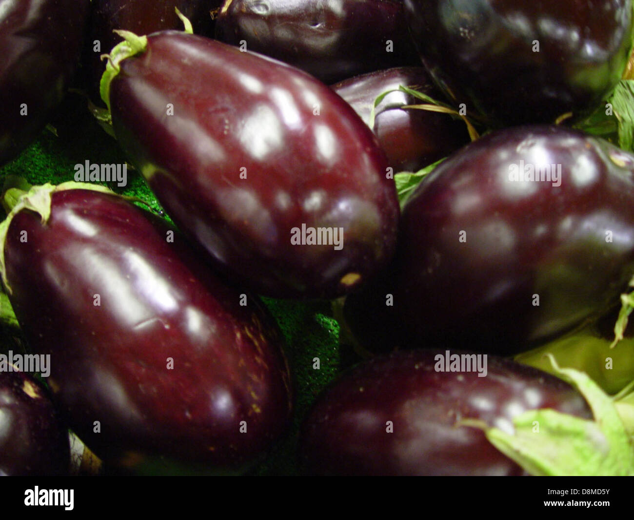 Aubergine, auch Aubergine genannt, ist eine violette Frucht, die als Gemüse zum Kochen verwendet wird. Es ist eine vielseitige Zutat in vielen Gerichten, die häufig in der mediterranen und asiatischen Küche zu finden sind. Stockfoto