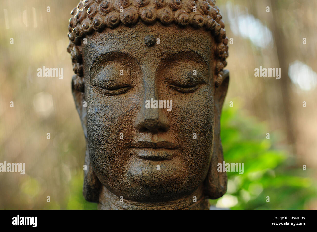 Buddha-Kopf aus Ruhe und Buddhismus Kultur Stockfoto