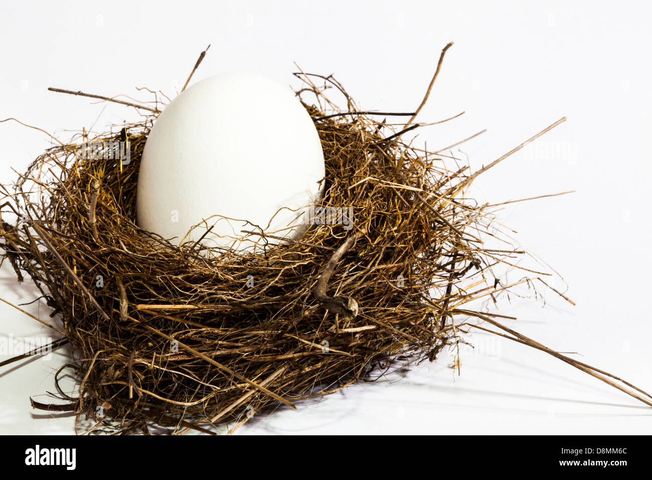 Manche Dinge passen einfach nicht. Huhn Ei in einem natürlichen kleinen Vogel-Nest. Stockfoto