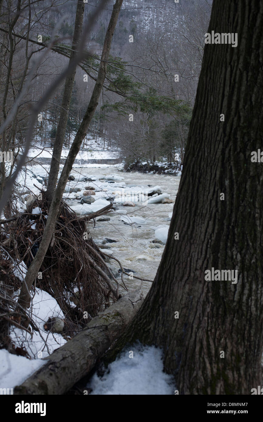 Frühlingstauwetter bringt Wasser und Eis auf dem kalten Fluss im Mohawk Trail State Forest entlang Rte 2 im Westen von Massachusetts. Stockfoto