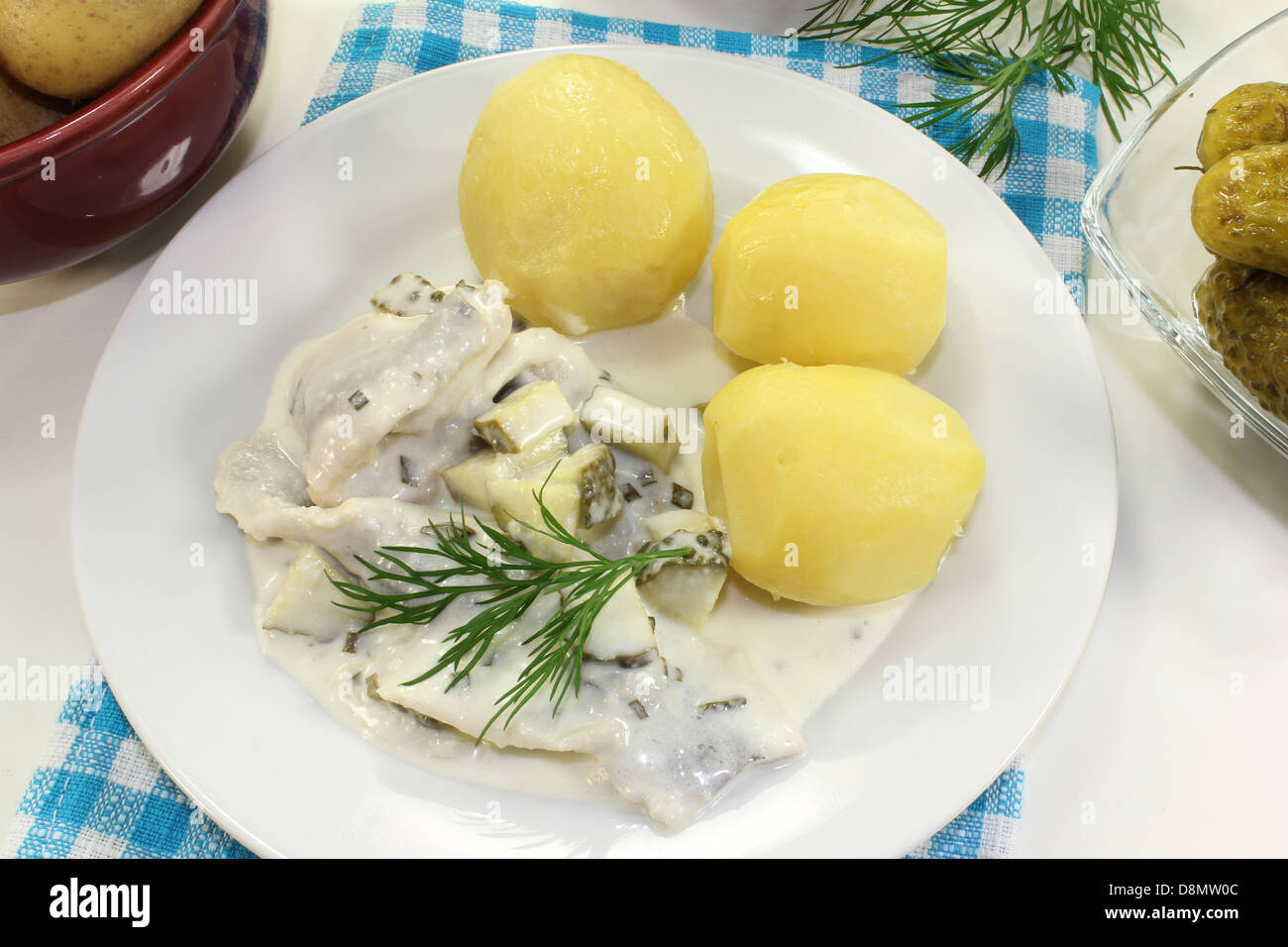 Sahne-Hering Stockfoto