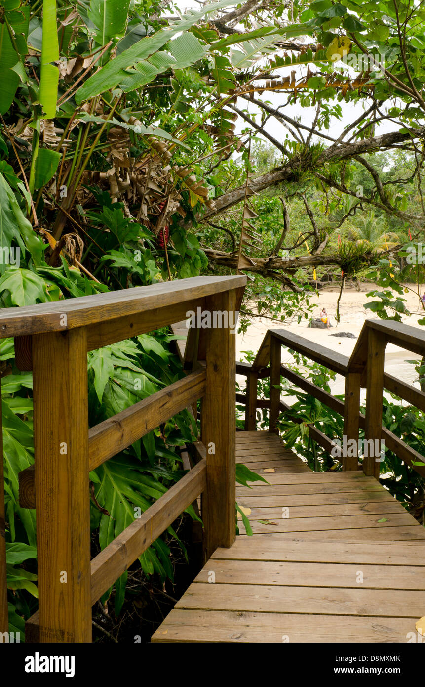 Hölzerne Treppe zum Strand. Bastimentos Island Stockfoto
