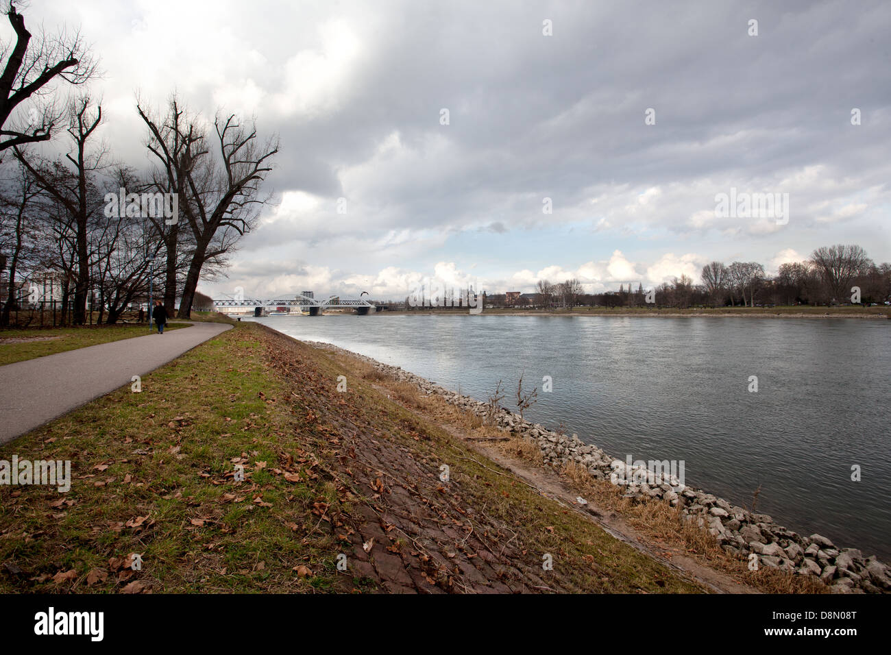 Single ludwigshafen am rhein