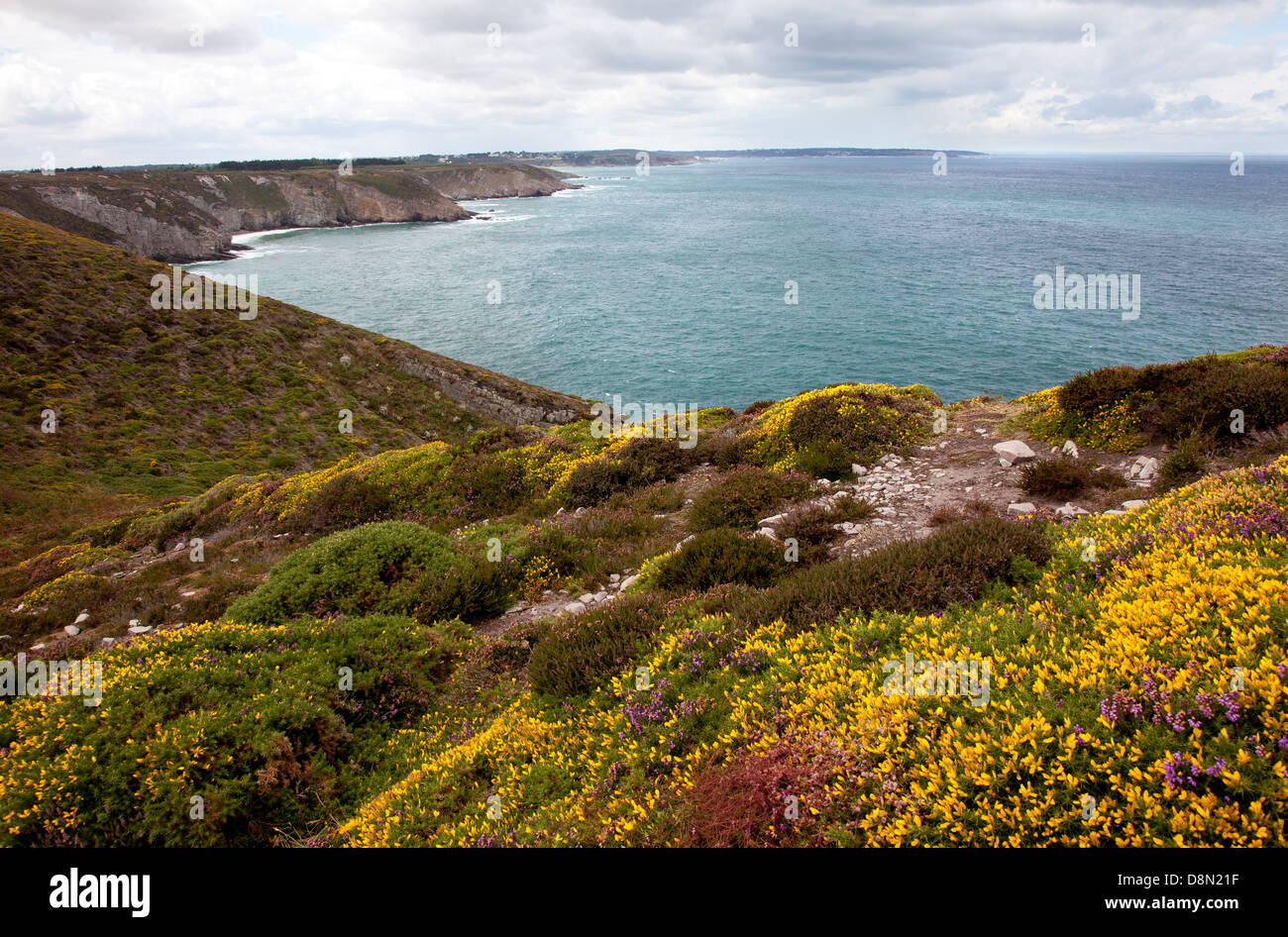 Küste und Klippen bei Cap Frehel Frankreich Stockfoto