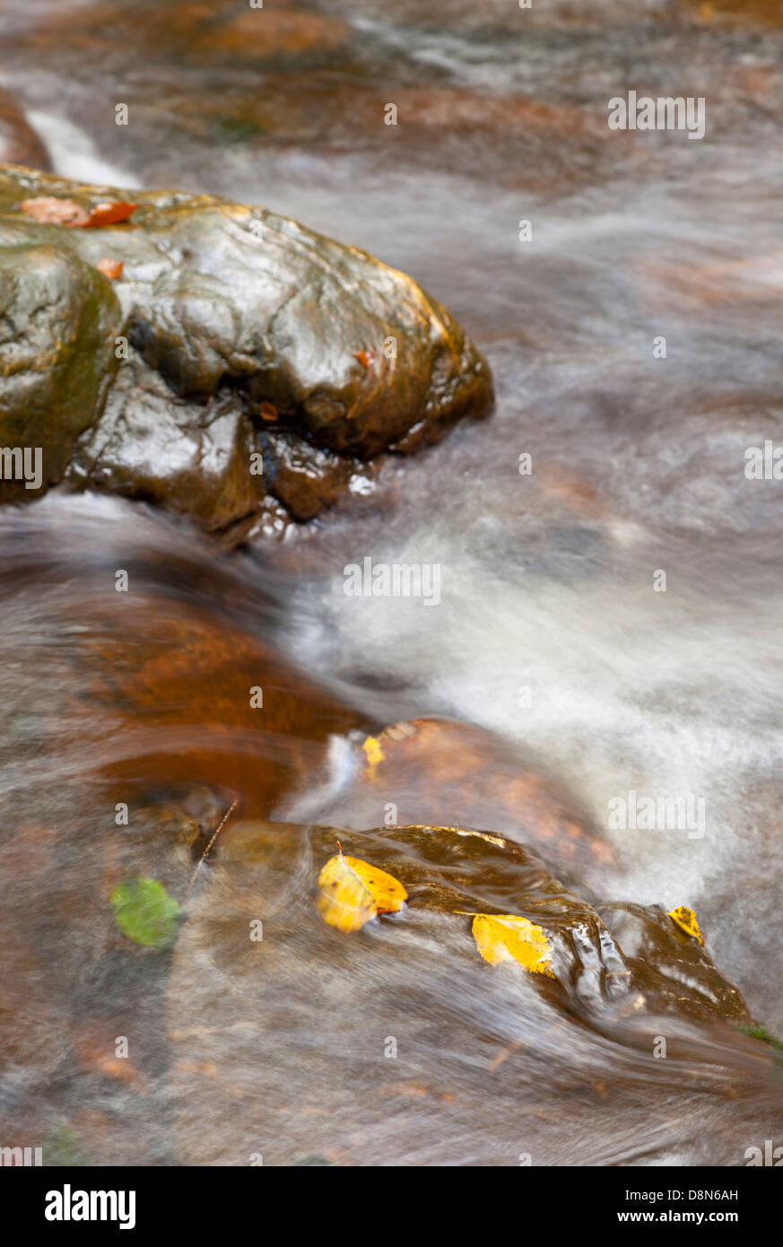 Ein gelbes Blatt in einem kleinen Fluss im Herbst, Langzeitbelichtung geschossen. Stockfoto