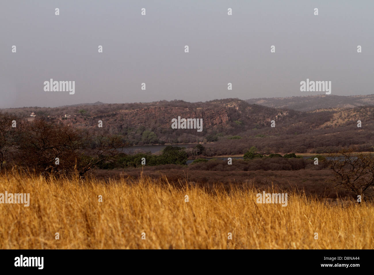 Ranthambhore Landschaft Stockfoto