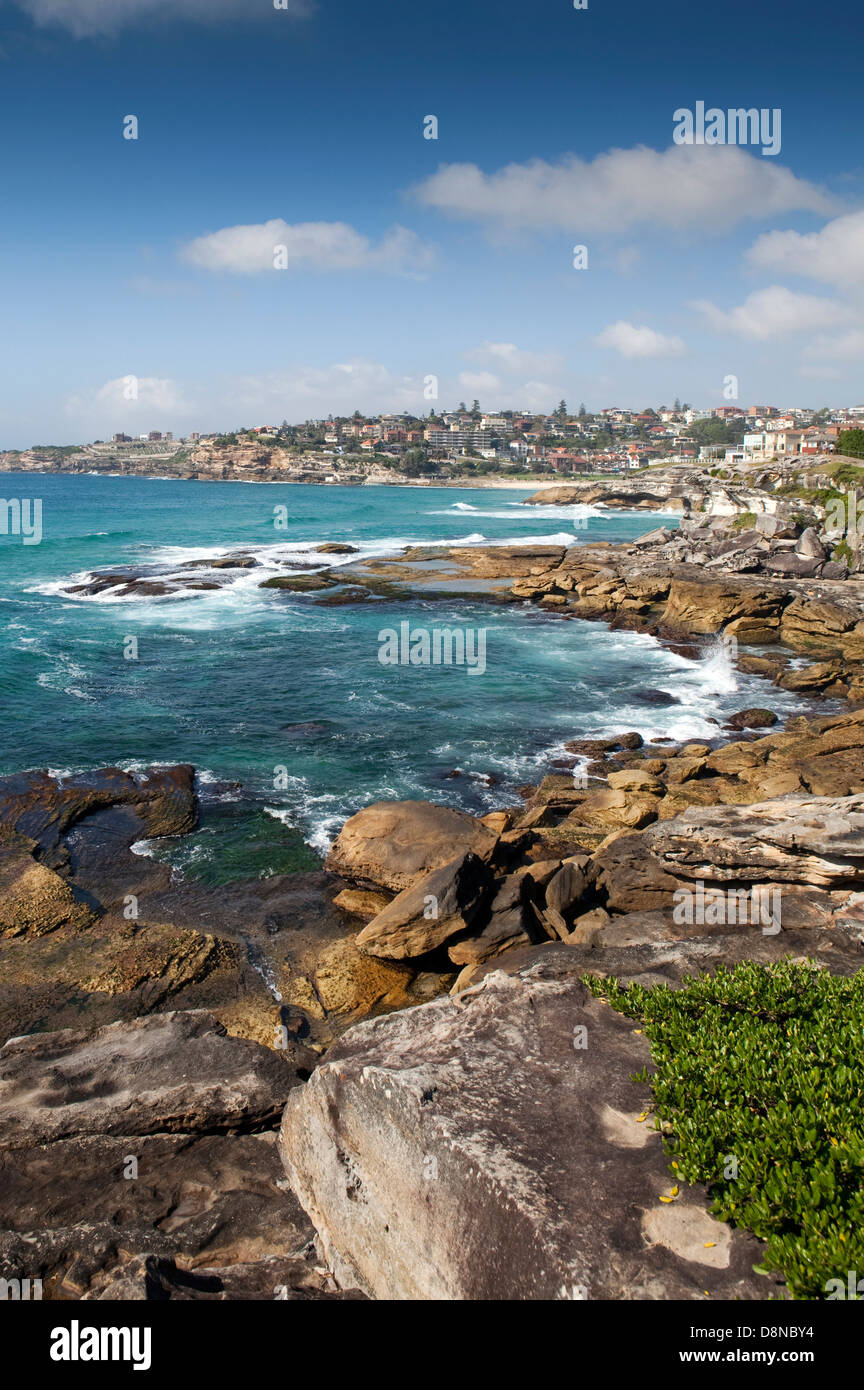 Ein Blick auf die Klippen in den östlichen Vororten von Sydney in Australien Stockfoto