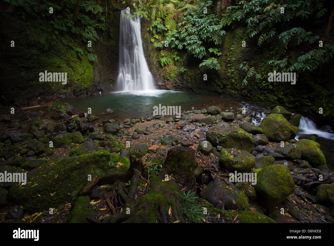 Salto Prego Wasserfall in Insel São Miguel - Azoren Stockfoto