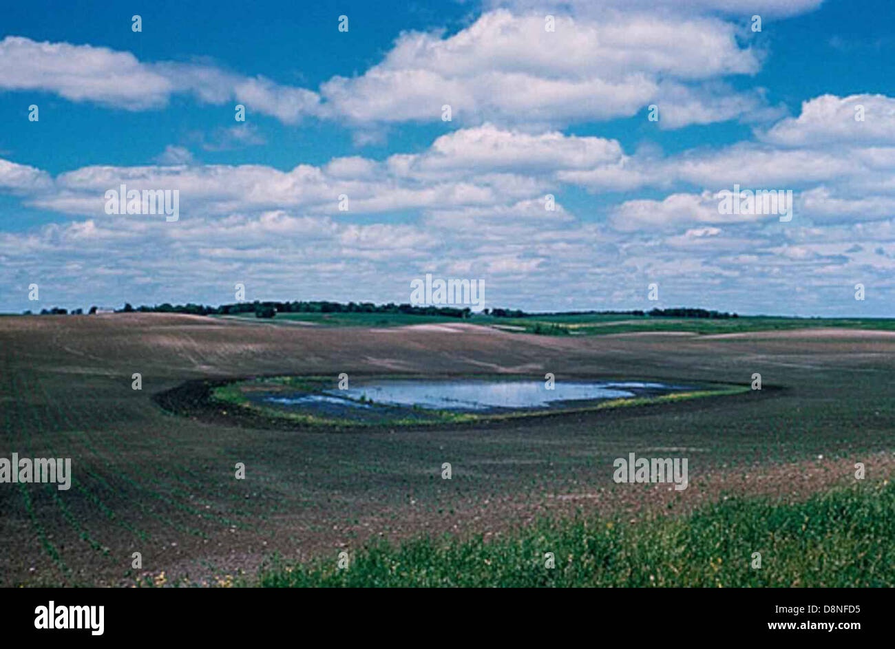 Feuchtgebiete landwirtschaftlichen Auswirkungen. Stockfoto