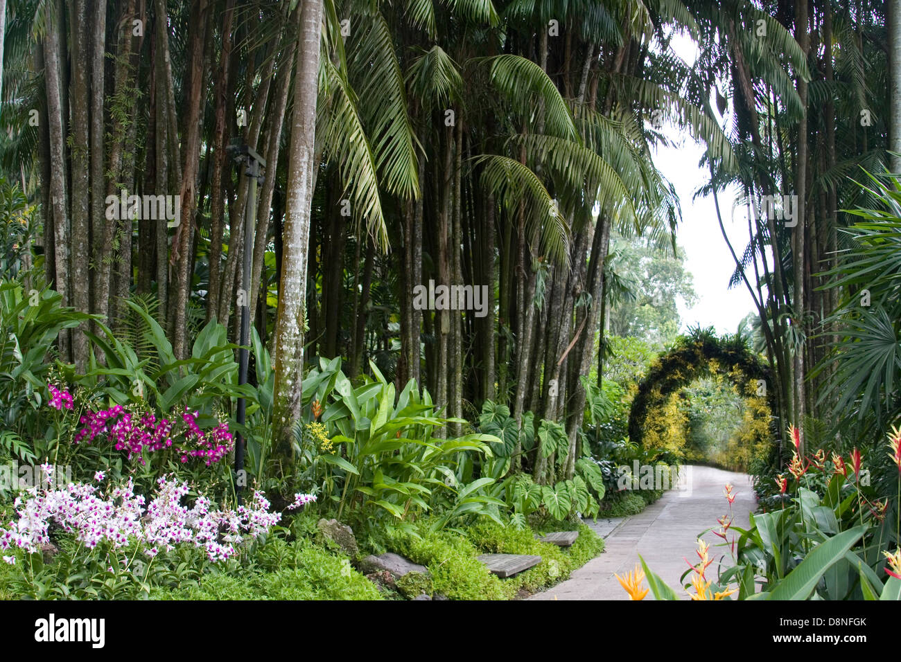 Weg durch die National Orchid Garden, Singapur. Stockfoto