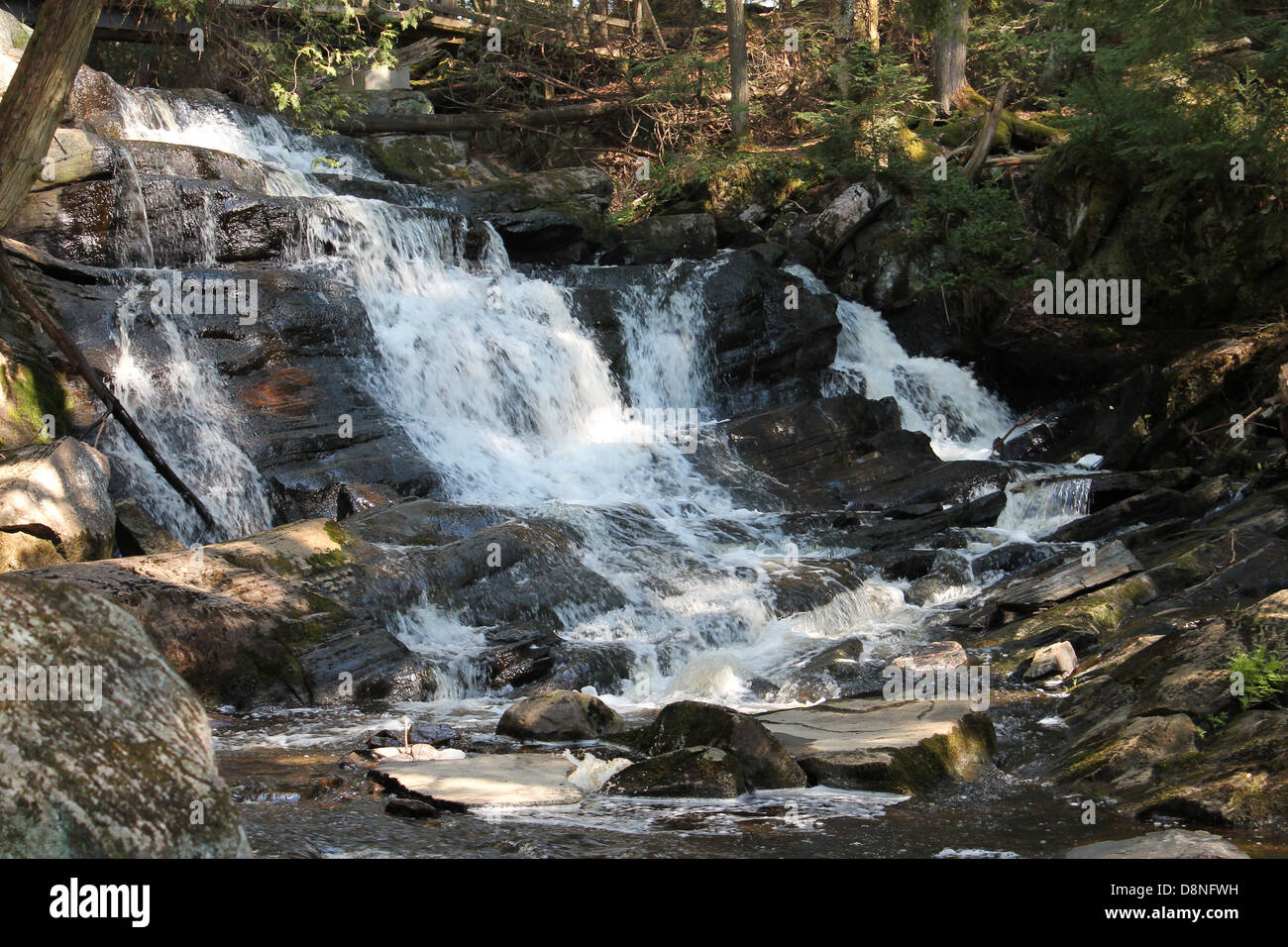 Teil einer Reihe von Wasserfällen bei hohen fällt Park Gravenhurst, Ontario Stockfoto