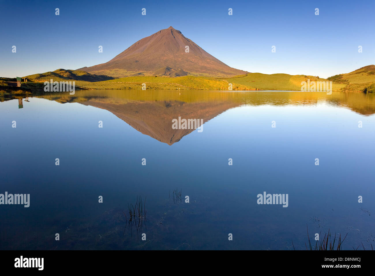 Berg Pico spiegelt sich in Captain Lagune bei Sonnenaufgang - Insel Pico - Azoren Stockfoto