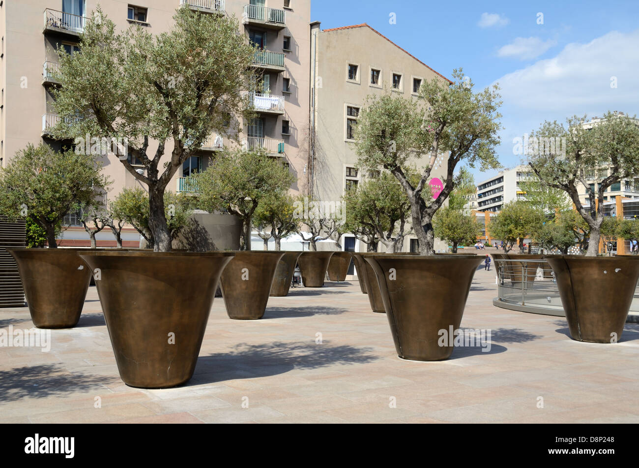 Riesige Pflanzer oder Flower Pots & Olivenbäume in der Nähe von Rathaus Marseille Frankreich Stockfoto