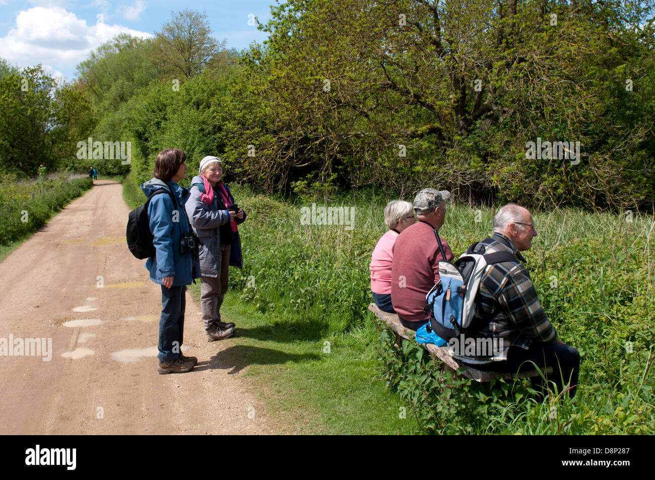 Vogel-Spotter bei Paxton Gruben Nature Reserve, Cambridgeshire, England, UK Stockfoto