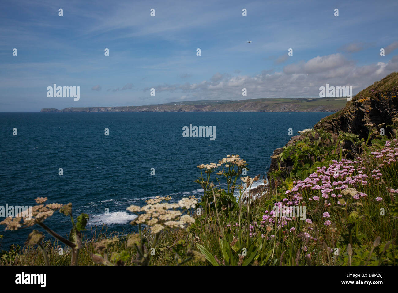 Port Issac Bay und Tintagel Head Stockfoto