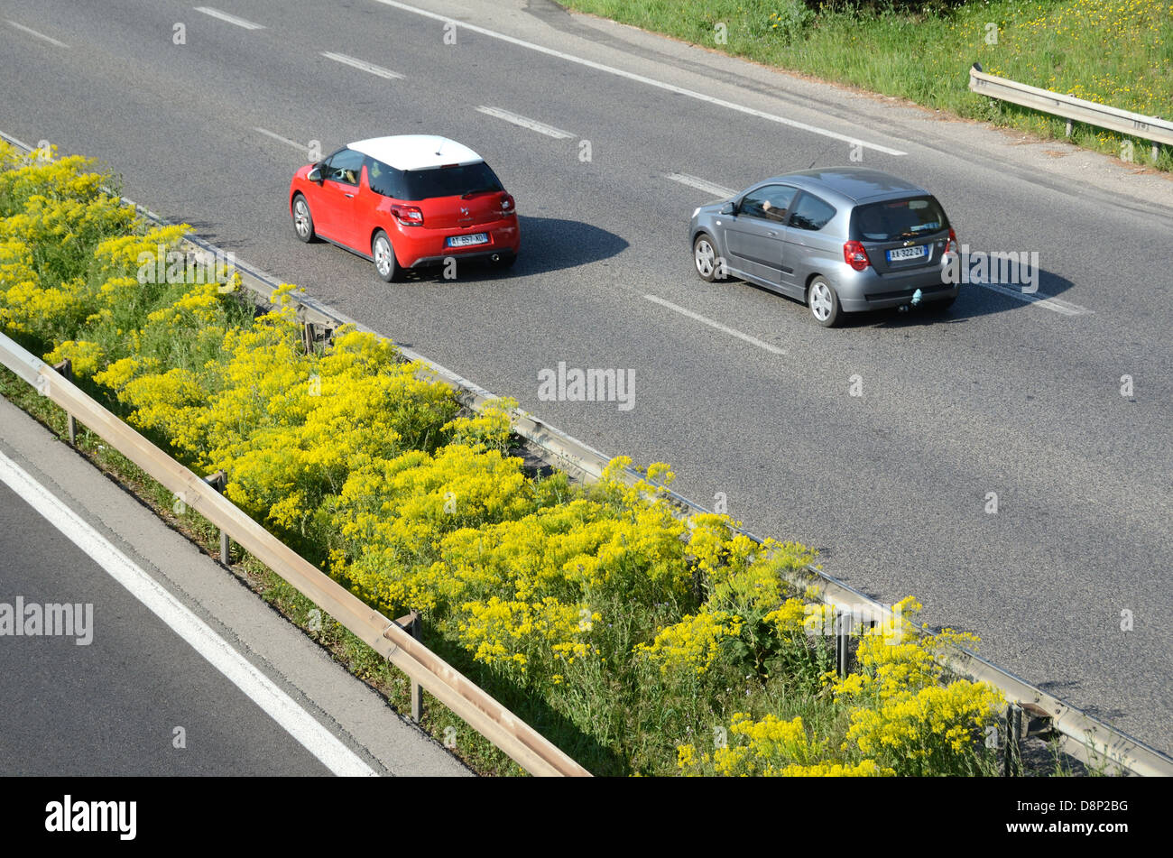 Autobahn Autobahn oder Autoroute & Wilde gelbe Blumen Gemeine Ragwort, jacobaea vulgaris, in Central Reservation oder Median Strip & Crash Barriers Frankreich Stockfoto