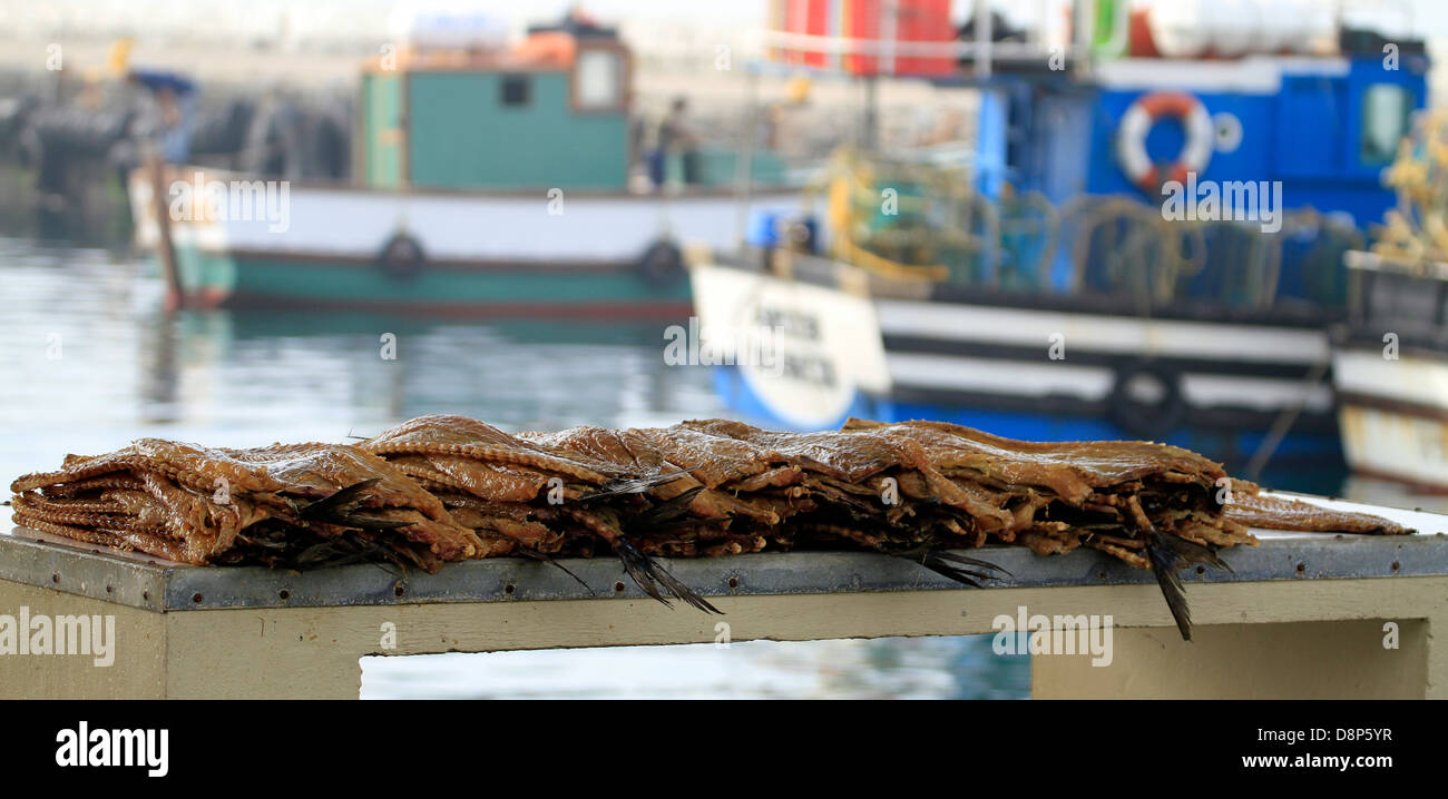 Gesalzen frische "Snoek" oder "Cape Snoek', (Thyrsites Atun) für den Verkauf am Hafen in Kalk Bay, in der Nähe von Kapstadt. Stockfoto