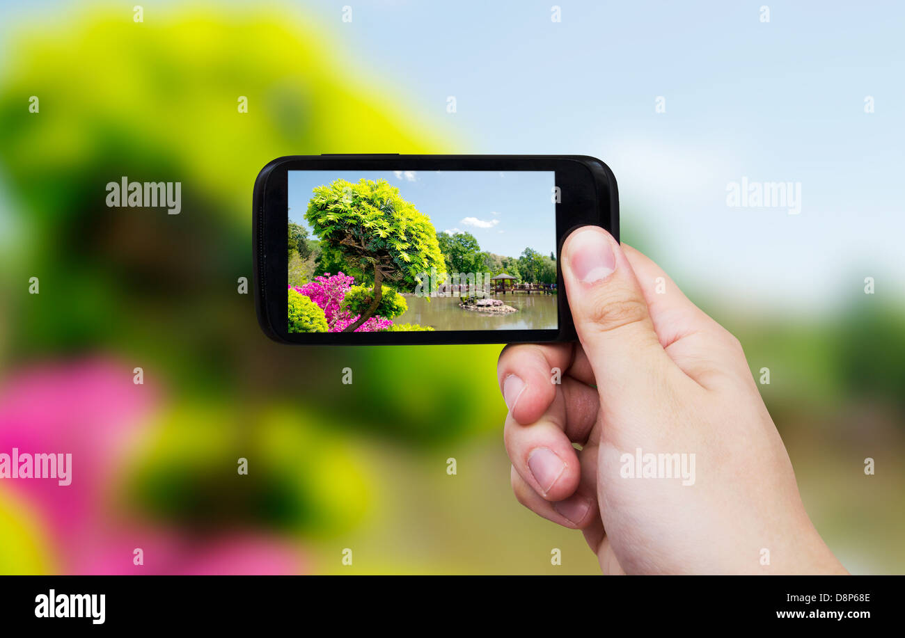 Smartphone mit Blick auf den japanischen Garten auf dem display Stockfoto