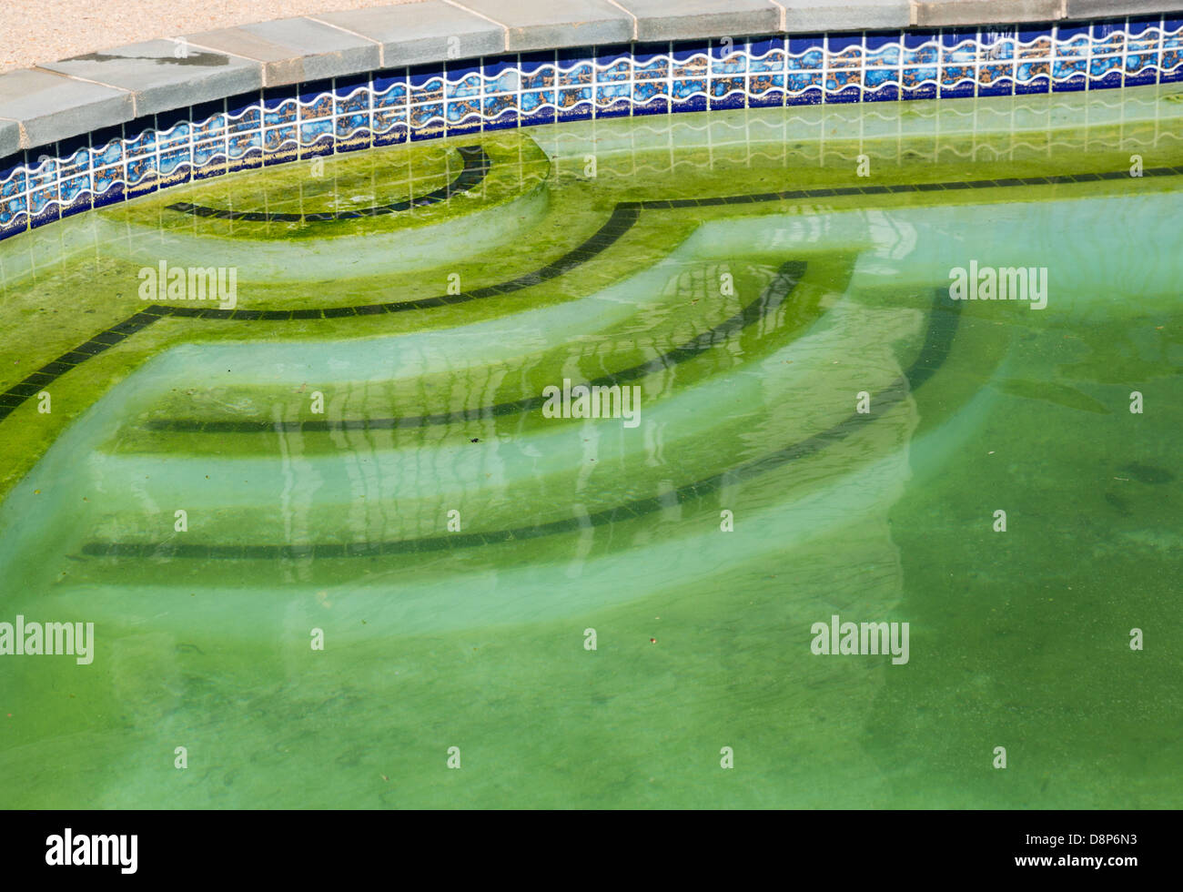 Stagnierende Swimmingpool mit grünen Algen Stockfoto