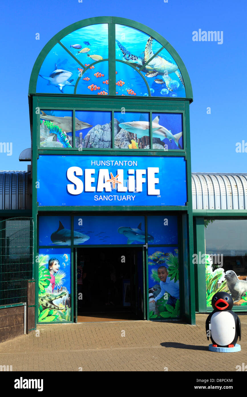 Hunstanton, Norfolk, Sea Life Sanctuary, Zentrum, Sealife, England UK Stockfoto