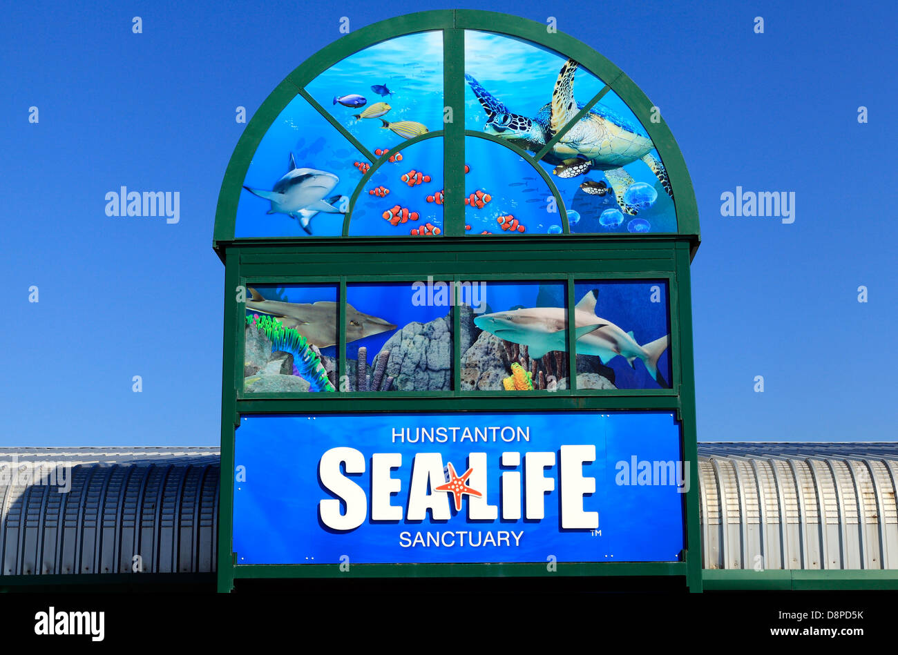 Hunstanton, Norfolk, Sea Life Sanctuary, Zentrum, Sealife, England UK Stockfoto