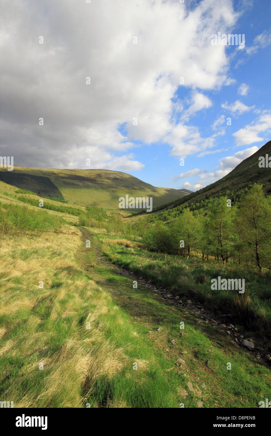 Carrifran Glen Blick in Richtung Moffat Dale, Dumfries and Galloway, Schottland, Großbritannien Stockfoto