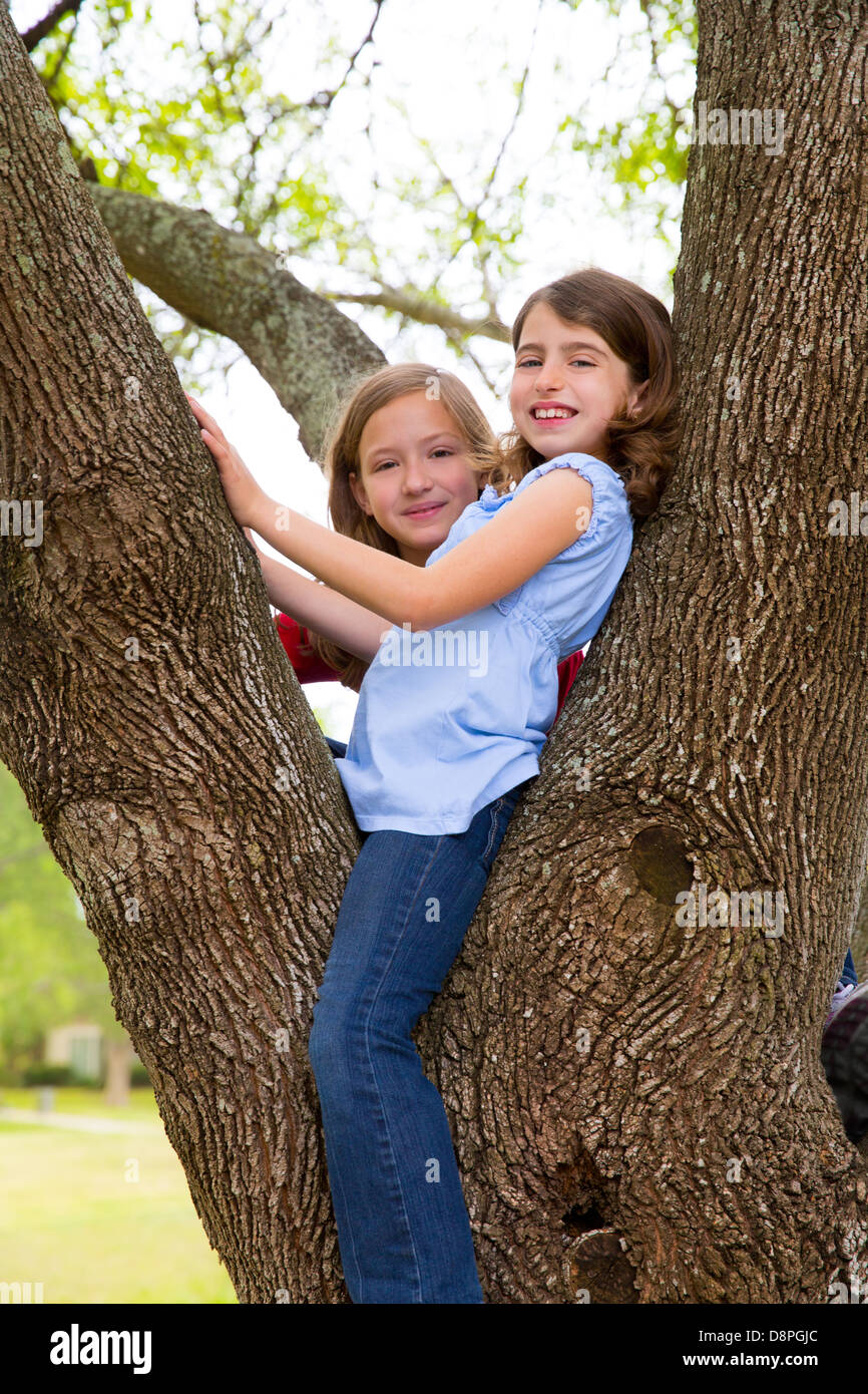 Kinder Mädchen spielen, Klettern auf einen Baum Park im freien Stockfoto